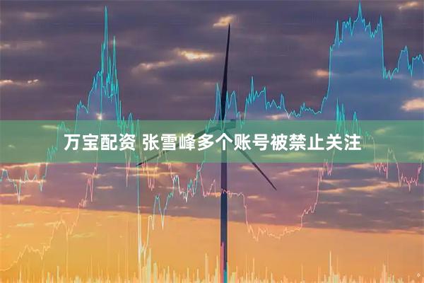 万宝配资 张雪峰多个账号被禁止关注